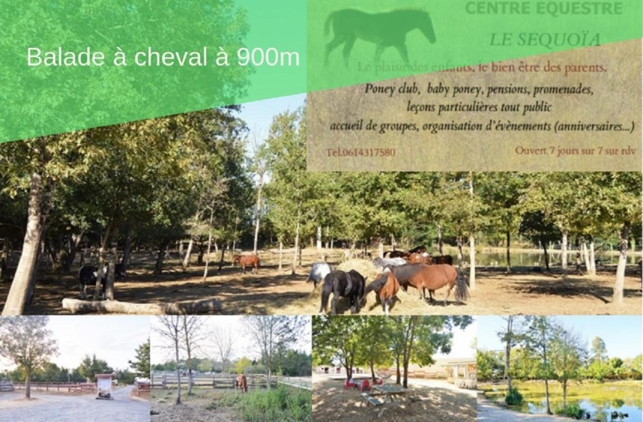 Peyrole Le Gite Nature Bien-Etre Piscine Chauffee Privee Du Tarn Entre Toulouse Et Albi & Les Cottages Du Tarn מראה חיצוני תמונה